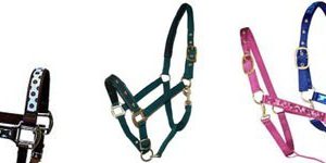 Halter and Accessories